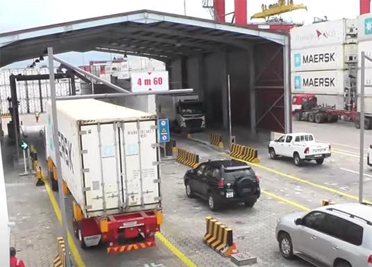 Customs Inspection